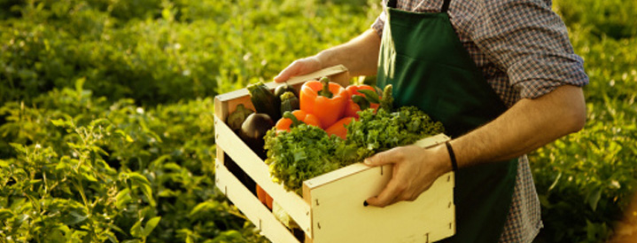 Organic Agriculture Loan | Farmer