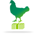Poultry Husbandry Loan