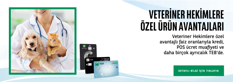 Veteriner Hekim
