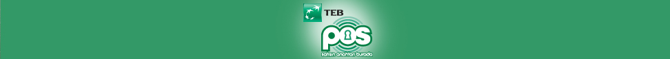 TEB POS