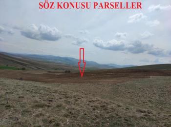 9819 Kırşehir Merkezde Tarla (2 adet tapusu bulunmaktadır.) 1