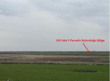 9827 Mardin Derik'de 34.768 m2 Tarla 1