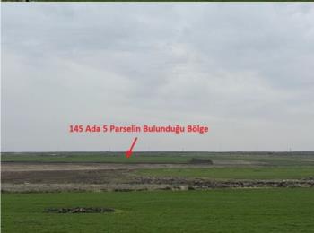 9827 Mardin Derik'de 34.768 m2 Tarla 2