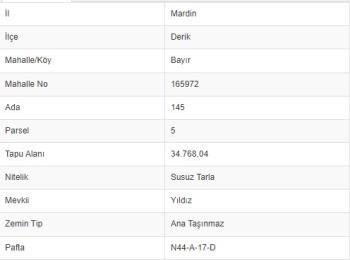 9827 Mardin Derik'de 34.768 m2 Tarla 4