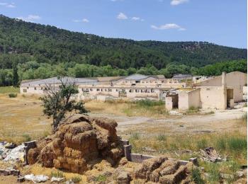 9828 Uşak Merkez' de  29.402m² Tarla 1