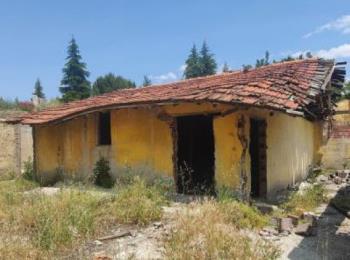 9828 Uşak Merkez' de  29.402m² Tarla 6