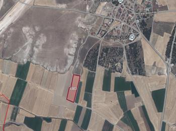 9856 Uşak Merkez'de Tarla 4