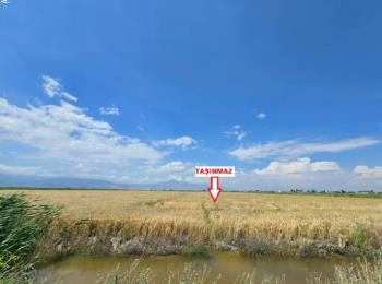 9862 Hatay Antakya'da Tarla 2