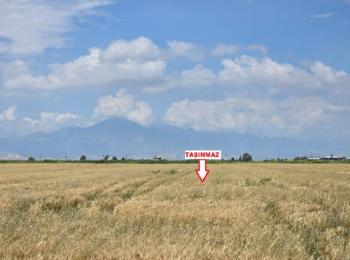 9862 Hatay Antakya'da Tarla 3